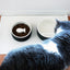 Slow Feed Boul (S) - Mr. & Ms. Cat