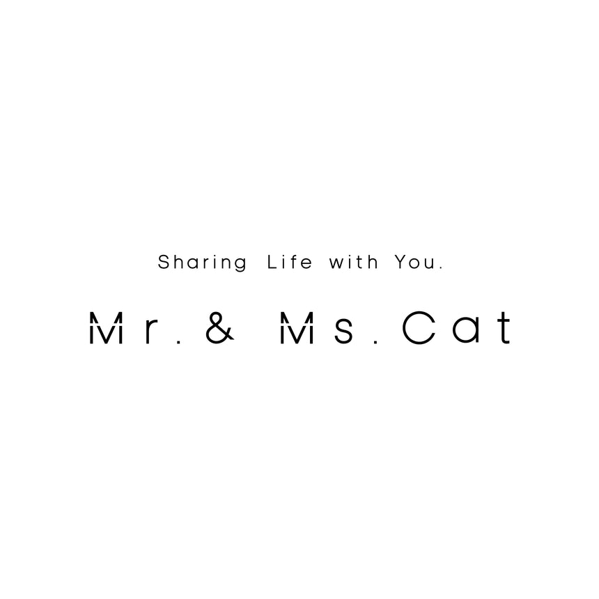 BRAND STORY　|　Mr. & Ms. Cat のブランドのつくり方　ー　BRAND BOOK（後篇）
